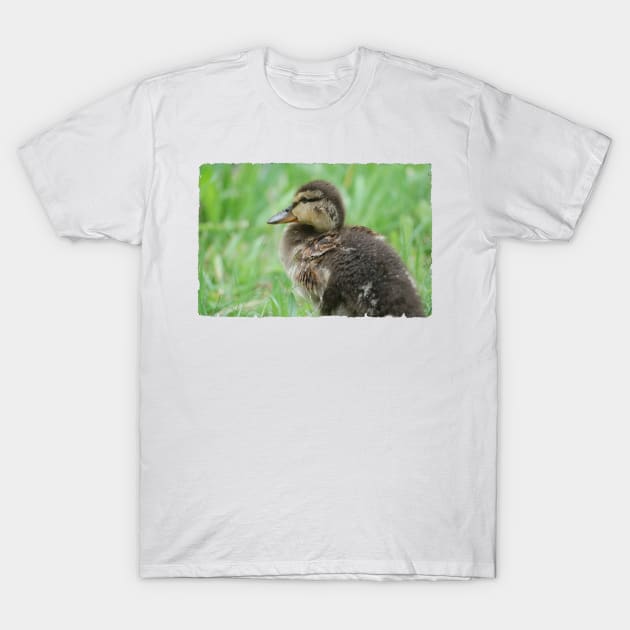 Duckling T-Shirt by DeVerviers